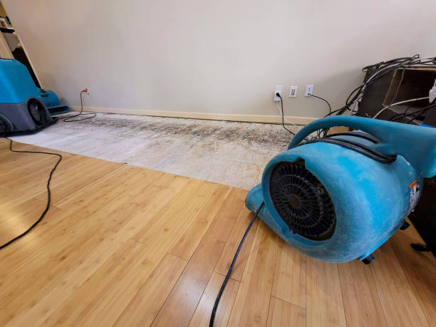 Reliable Basement Flood Cleanup contractor in Winterville, NC by Hirex Water Damage