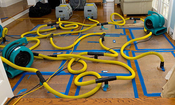 Professional Basement Flood Cleanup technician working in Winterville, NC